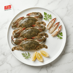 A Fresh Premium Quality Crab, Its Clean Annd Hygenic - Image 1