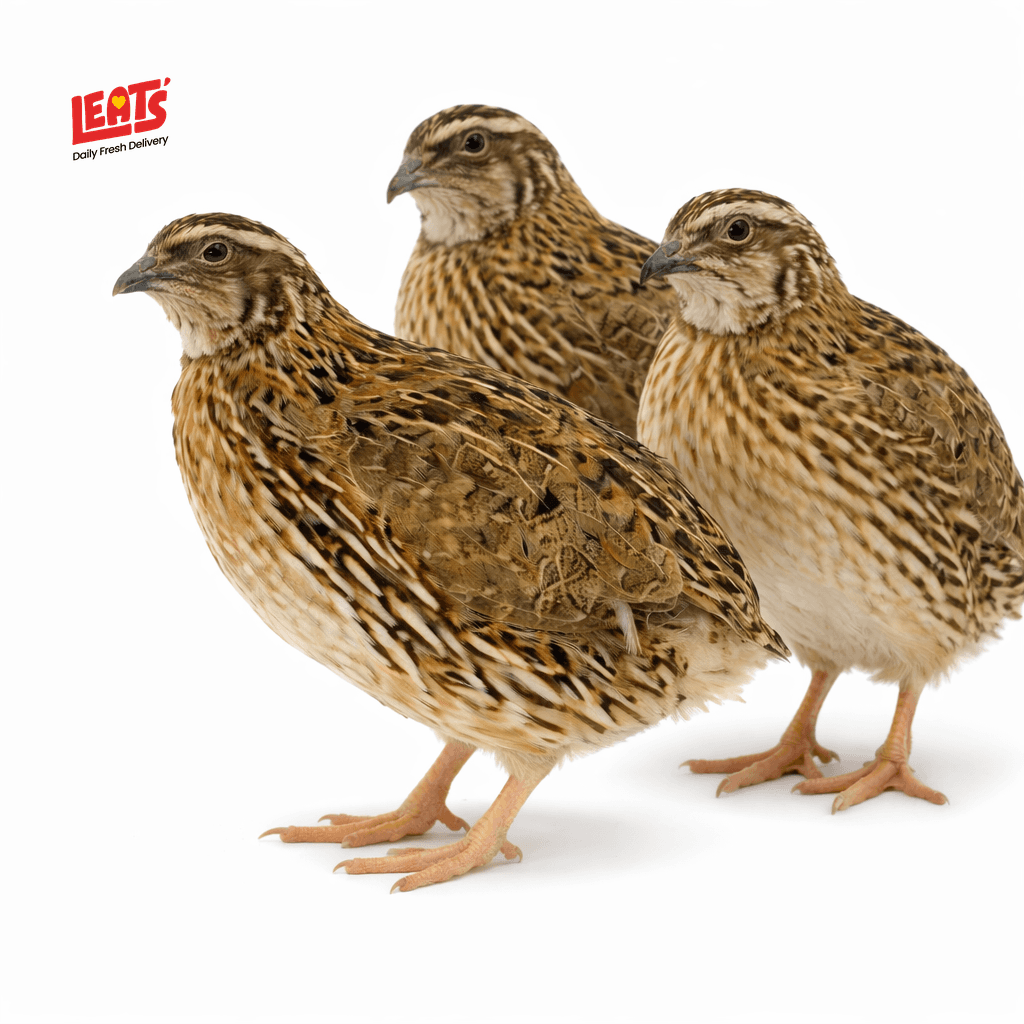 A Fresh High Quality Quail Meat