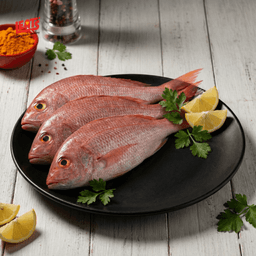 A Fresh And Export Quality Fish - Image 1
