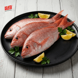 A Fresh And Export Quality Fish - Image 1