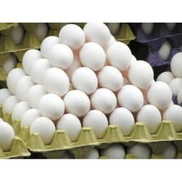A High Quality Egg - Image 1