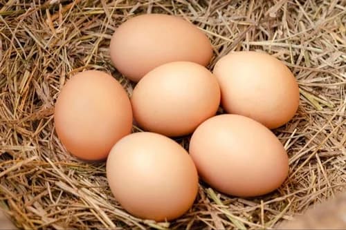 A High Quality Egg