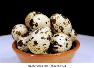 A High Quality Egg