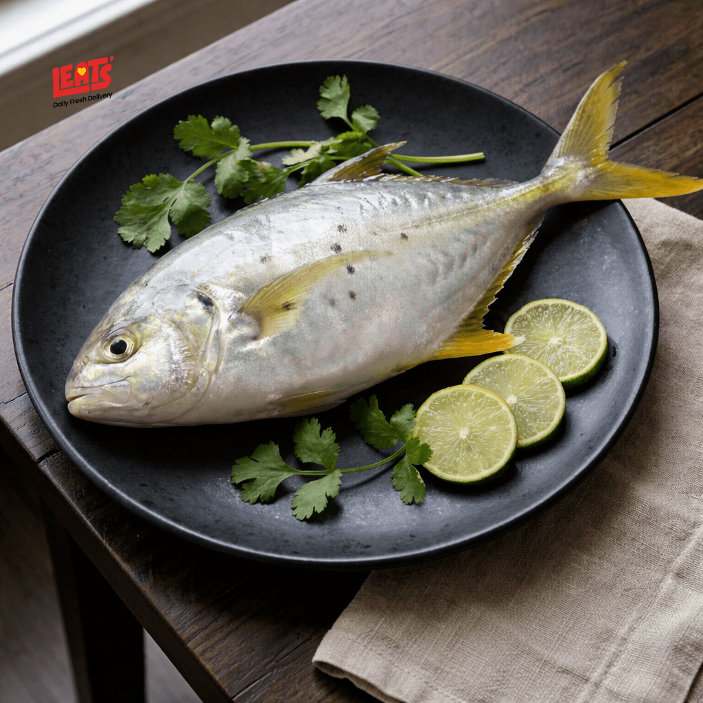 FISH