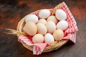 EGG